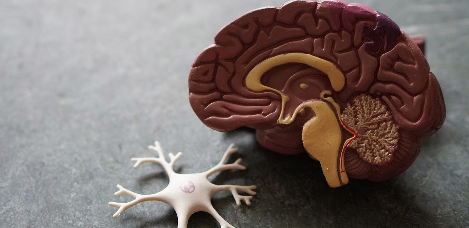 Hope Mills Office Hope Mills Nc Professional Eye Care Hope Mills Office Hope Mills Nc Professional Eye Care