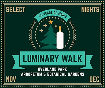 Luminary Walk