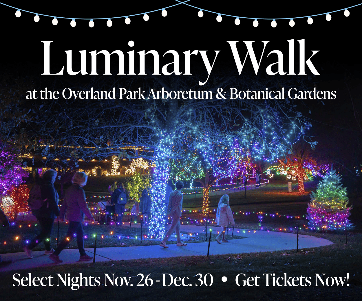 Luminary Walk